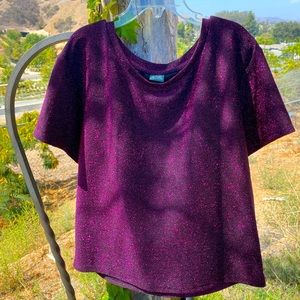 Wild Fable sparkly pink crop top M